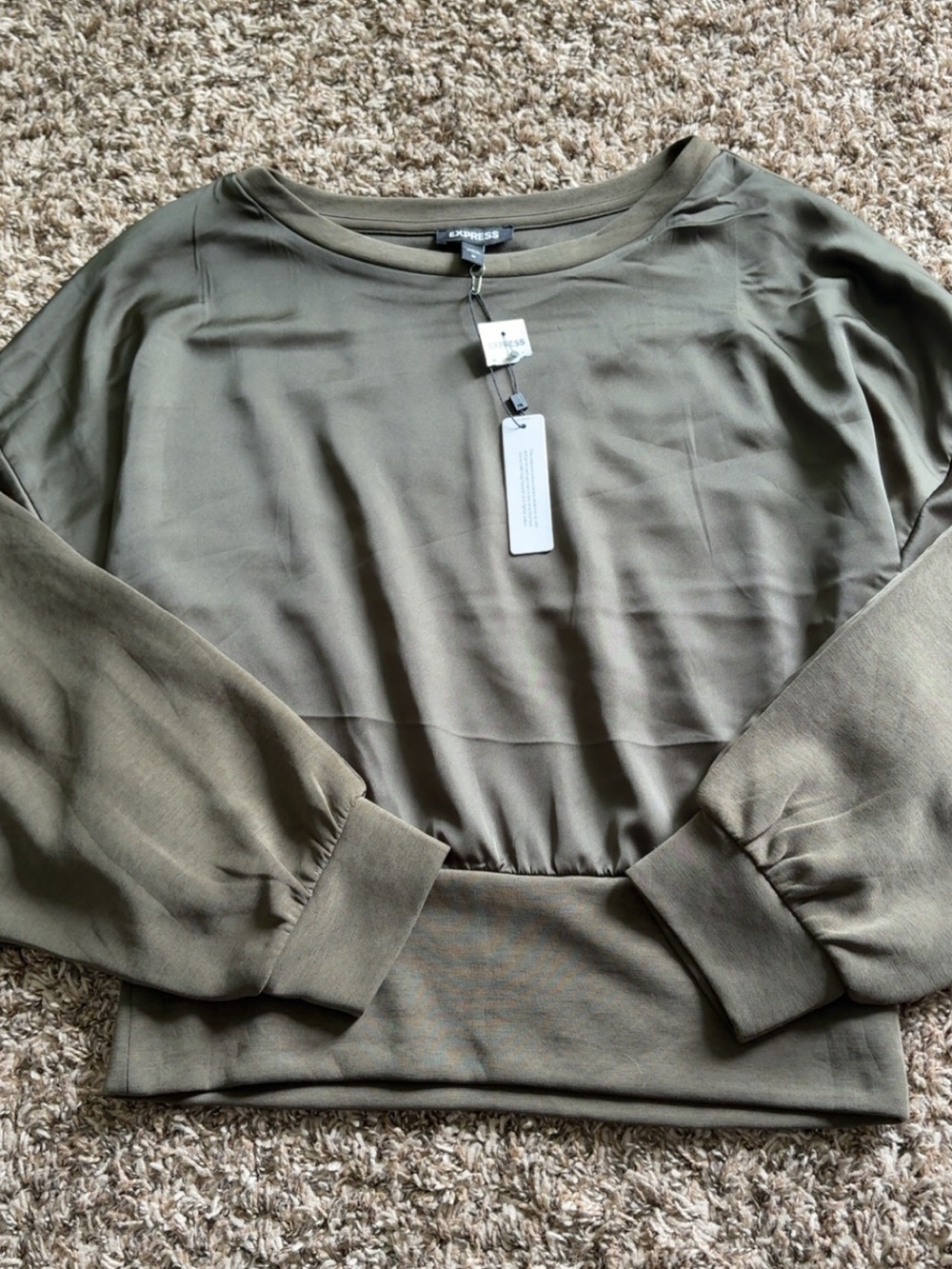 Express Olive/Taupe Long Sleeve Top